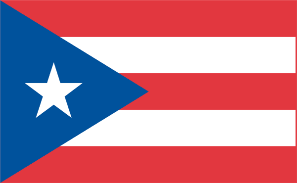 Puerto Rico 2006-Pres Misc Logo iron on heat transfer